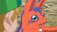 Image d41d8cd98f00b204e9800998ecf8427e-3333-episode-13-season-0.jpg